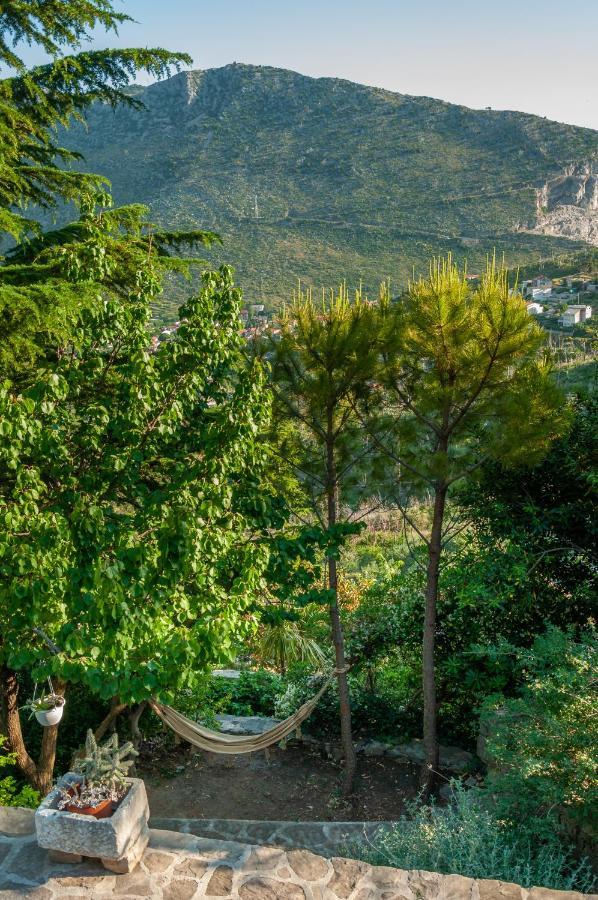 Villa Blanka Zrnovnica Ngoại thất bức ảnh